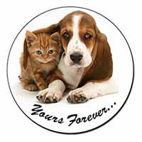 Basset Hound and Cat 