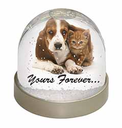 Basset Hound and Cat 