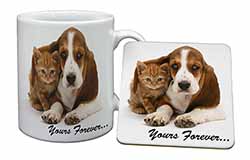 Basset Hound and Cat 