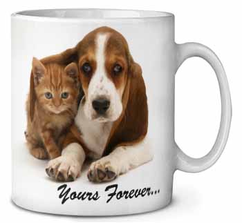 Basset Hound and Cat 