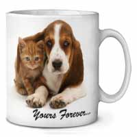 Basset Hound and Cat 