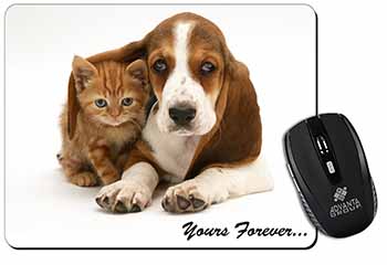 Basset Hound and Cat 