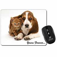 Basset Hound and Cat 