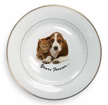 Basset Hound and Cat 