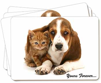 Basset Hound and Cat 