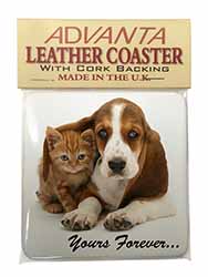 Basset Hound and Cat 