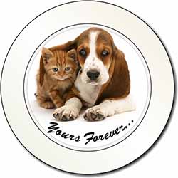 Basset Hound and Cat 