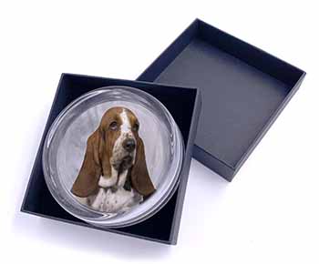 Basset Hound Dog Glass Paperweight in Gift Box