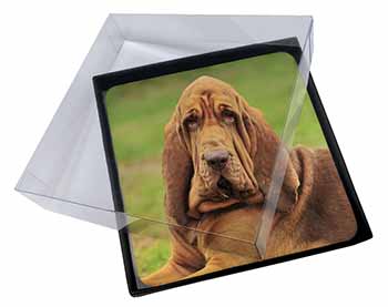 4x Blood Hound Dog Picture Table Coasters Set in Gift Box