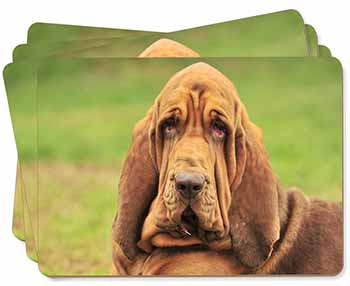 Blood Hound Dog Picture Placemats in Gift Box