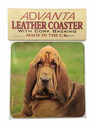 Blood Hound Dog Single Leather Photo Coaster