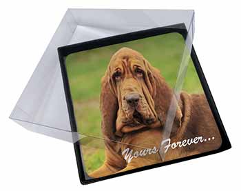 4x Blood Hound Dog "Yours Forever..." Picture Table Coasters Set in Gift Box