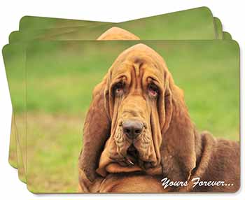 Blood Hound Dog "Yours Forever..." Picture Placemats in Gift Box