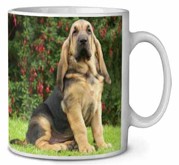 Bloodhound Dog Ceramic 10oz Coffee Mug/Tea Cup