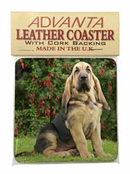 Bloodhound Dog Single Leather Photo Coaster