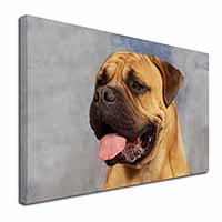 Bullmastiff Dog Canvas X-Large 30"x20" Wall Art Print