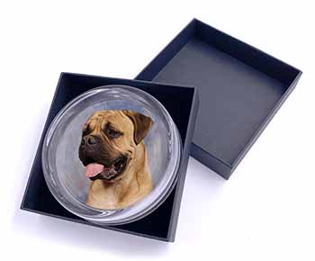 Bullmastiff Dog Glass Paperweight in Gift Box