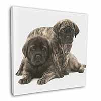 Bullmastiff Dog Puppies Square Canvas 12"x12" Wall Art Picture Print