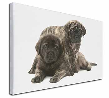 Bullmastiff Dog Puppies Canvas X-Large 30"x20" Wall Art Print