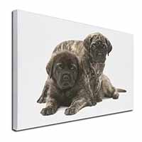 Bullmastiff Dog Puppies Canvas X-Large 30"x20" Wall Art Print