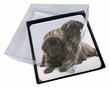 4x Bullmastiff Dog Puppies Picture Table Coasters Set in Gift Box