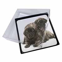 4x Bullmastiff Dog Puppies Picture Table Coasters Set in Gift Box
