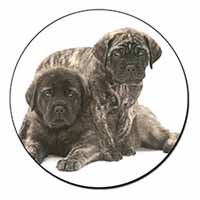 Bullmastiff Dog Puppies Fridge Magnet Printed Full Colour