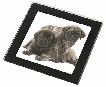 Bullmastiff Dog Puppies Black Rim High Quality Glass Coaster