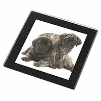 Bullmastiff Dog Puppies Black Rim High Quality Glass Coaster