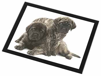 Bullmastiff Dog Puppies Black Rim High Quality Glass Placemat