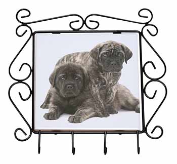 Bullmastiff Dog Puppies Wrought Iron Key Holder Hooks