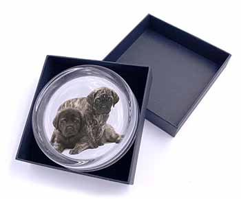 Bullmastiff Dog Puppies Glass Paperweight in Gift Box