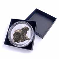 Bullmastiff Dog Puppies Glass Paperweight in Gift Box