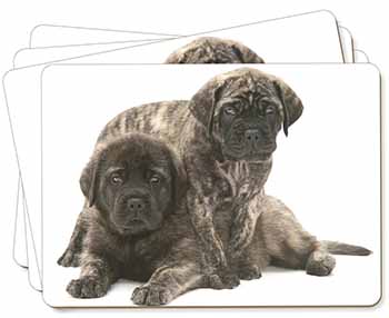 Bullmastiff Dog Puppies Picture Placemats in Gift Box