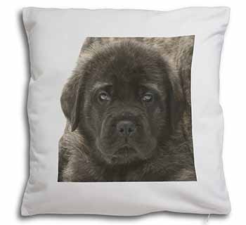 Bullmastiff Puppy Soft White Velvet Feel Scatter Cushion