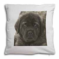 Bullmastiff Puppy Soft White Velvet Feel Scatter Cushion