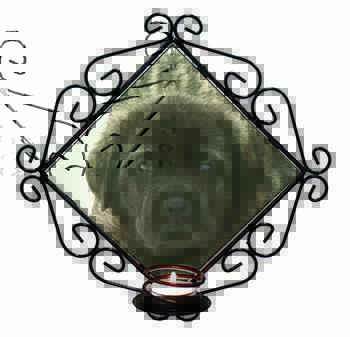 Bullmastiff Puppy Wrought Iron Wall Art Candle Holder