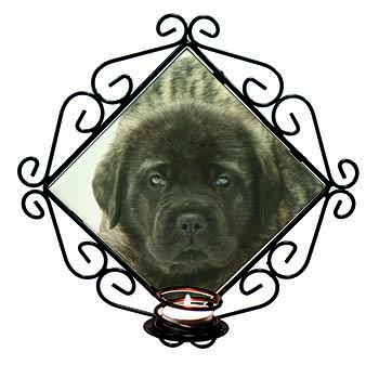 Bullmastiff Puppy Wrought Iron Wall Art Candle Holder