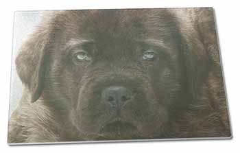 Large Glass Cutting Chopping Board Bullmastiff Puppy