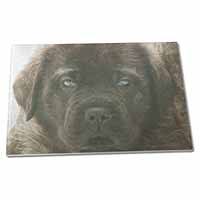 Bullmastiff Puppy Large Glass Cutting Chopping Board