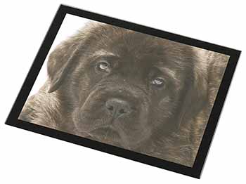 Bullmastiff Puppy Black Rim High Quality Glass Placemat