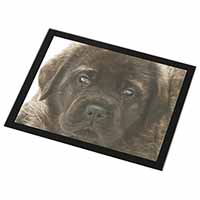 Bullmastiff Puppy Black Rim High Quality Glass Placemat