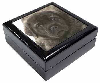 Bullmastiff Puppy Keepsake/Jewellery Box