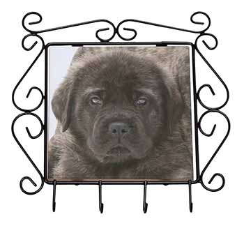 Bullmastiff Puppy Wrought Iron Key Holder Hooks