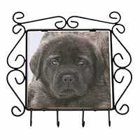 Bullmastiff Puppy Wrought Iron Key Holder Hooks