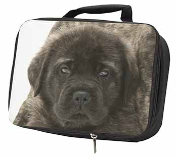 Bullmastiff Puppy Black Insulated School Lunch Box/Picnic Bag