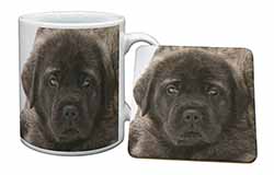 Bullmastiff Puppy Mug and Coaster Set
