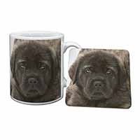 Bullmastiff Puppy Mug and Coaster Set