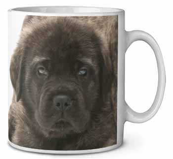 Bullmastiff Puppy Ceramic 10oz Coffee Mug/Tea Cup