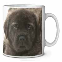 Bullmastiff Puppy Ceramic 10oz Coffee Mug/Tea Cup Printed Full Colour - Advanta 